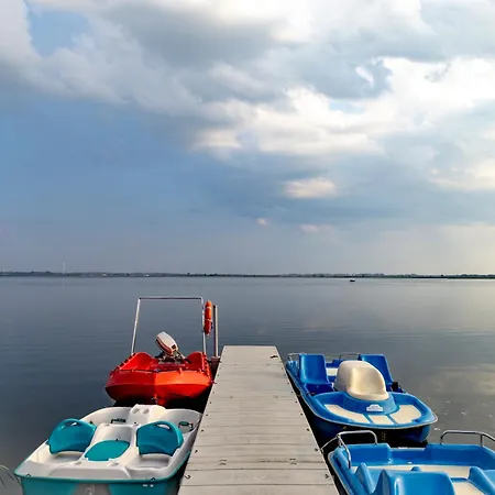 Kaleo - Pearl * Rogowo (Gryfice)