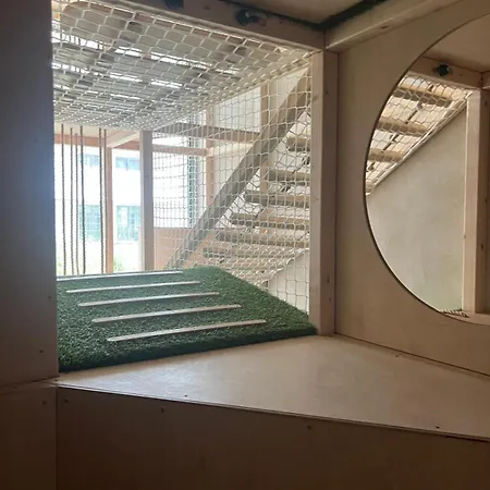 Kaleo - Pearl Apartament